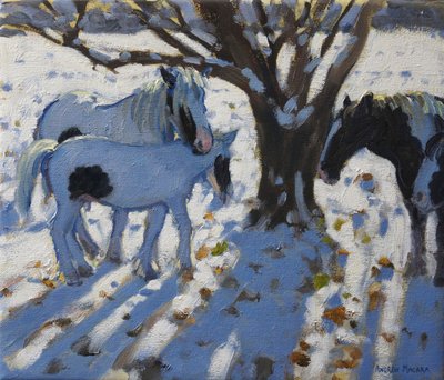 Skewbald Ponies in Winter, 2012 by Andrew Macara